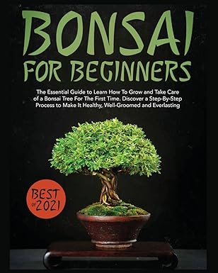 BNSP Self Publishing Services